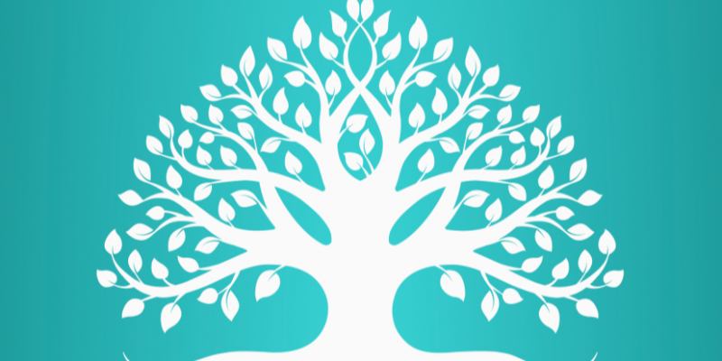 Ксило Ксило