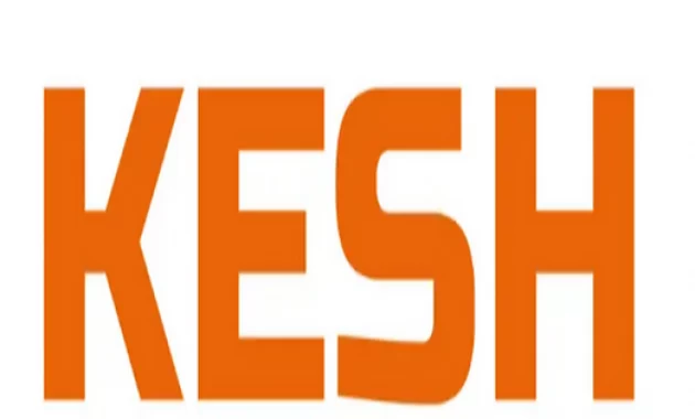 KESH курс для бьюти KESH курс для бьюти