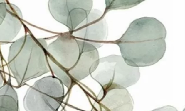 Обновление интерьера по Васту Обновление интерьера по Васту