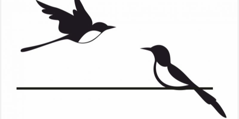 Школа маникюра и педикюра "Две Сороки" Школа маникюра и педикюра "Две Сороки"