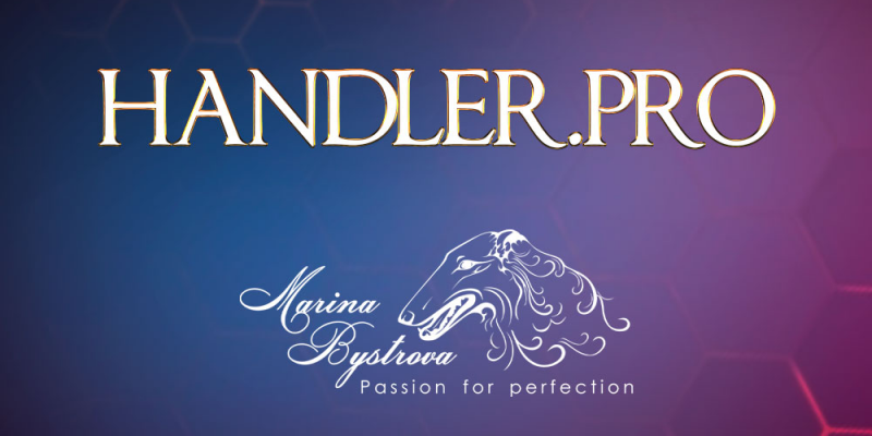 HANDLER.PRO HANDLER.PRO