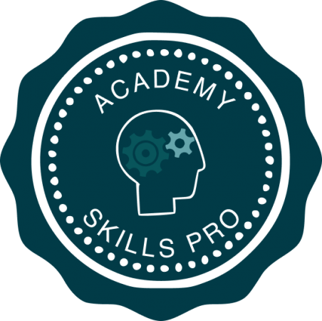 Академия фриланса Skills PRO Академия фриланса Skills PRO