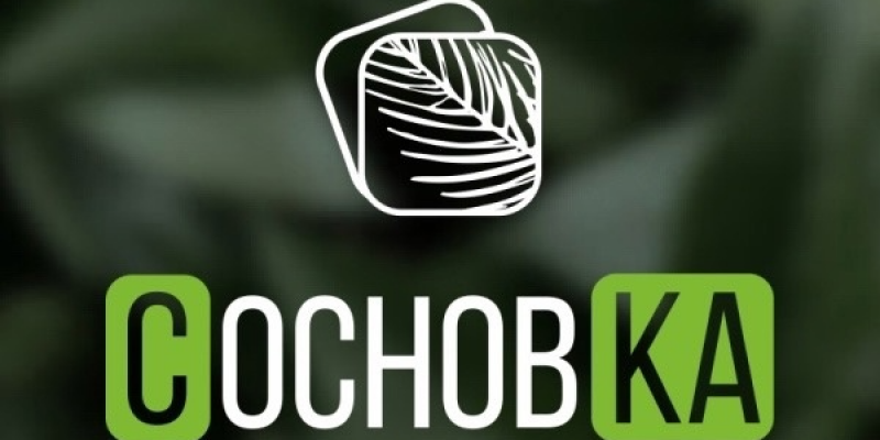 Школа ландшафтного дизайна "СосновКа" Школа ландшафтного дизайна "СосновКа"