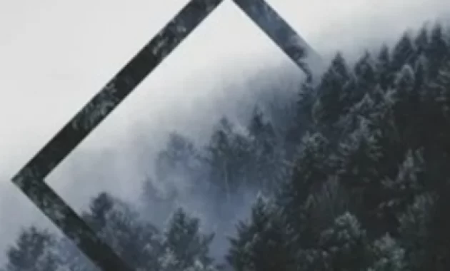 Защиты Защиты