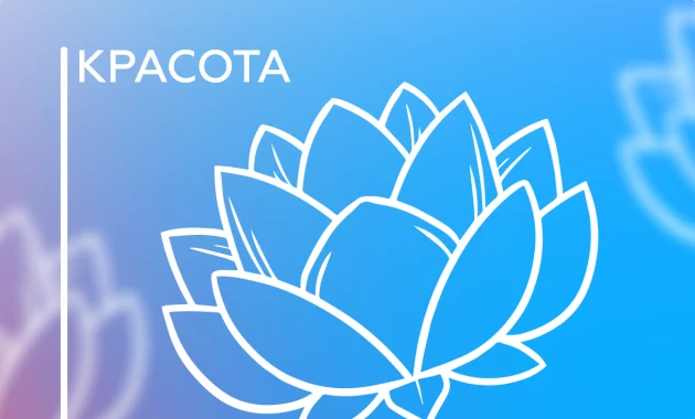 Наставничество Анны Давыдик Наставничество Анны Давыдик