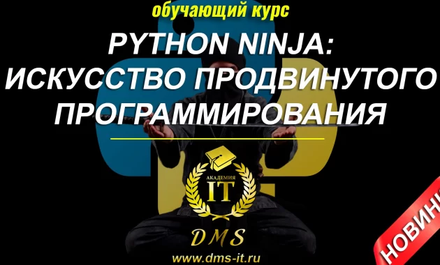 Python Ninja: Искусство Продвинутого Программирования Python Ninja: Искусство Продвинутого Программирования