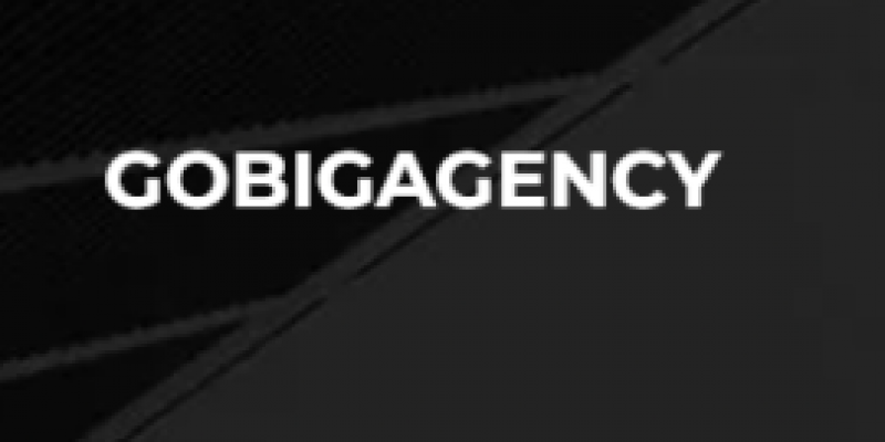 GOBIGAGENCY GOBIGAGENCY
